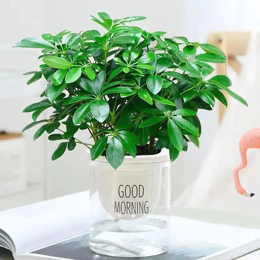 Realistic Indoor Green Plant 33cm - Halri