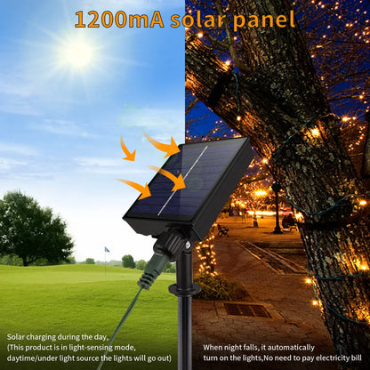 Outdoor Solar Fairy Lights 100M Waterproof LED Decoration - Halri
