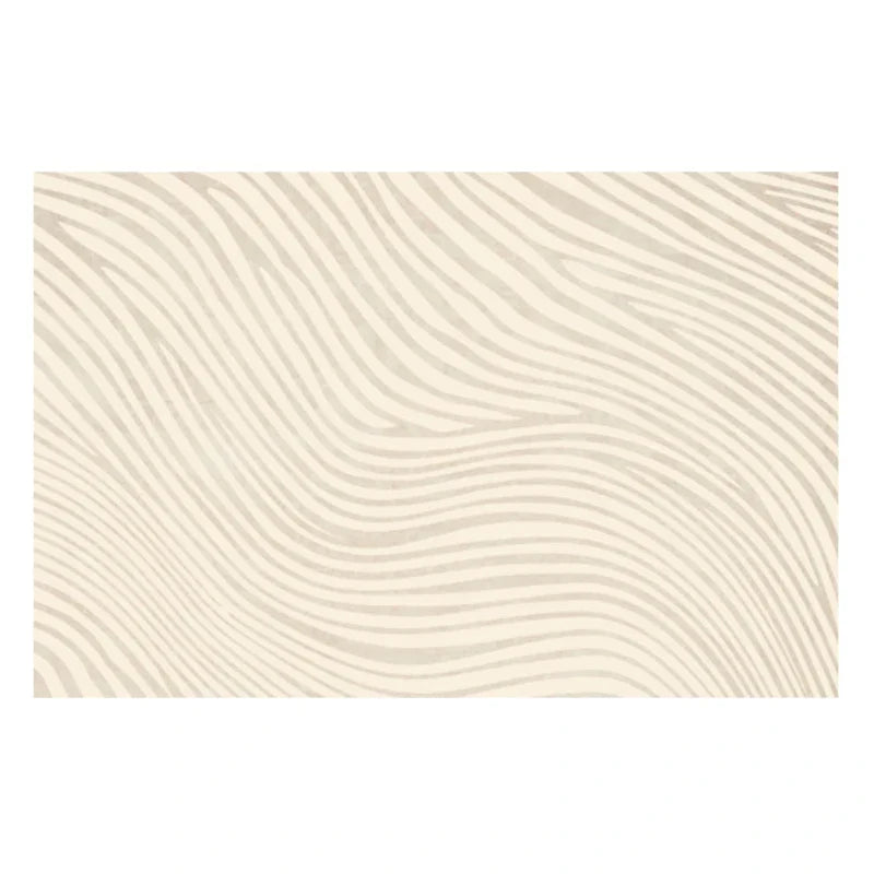 Plush Japanese Shag Rug Non-Slip Living Room Carpet