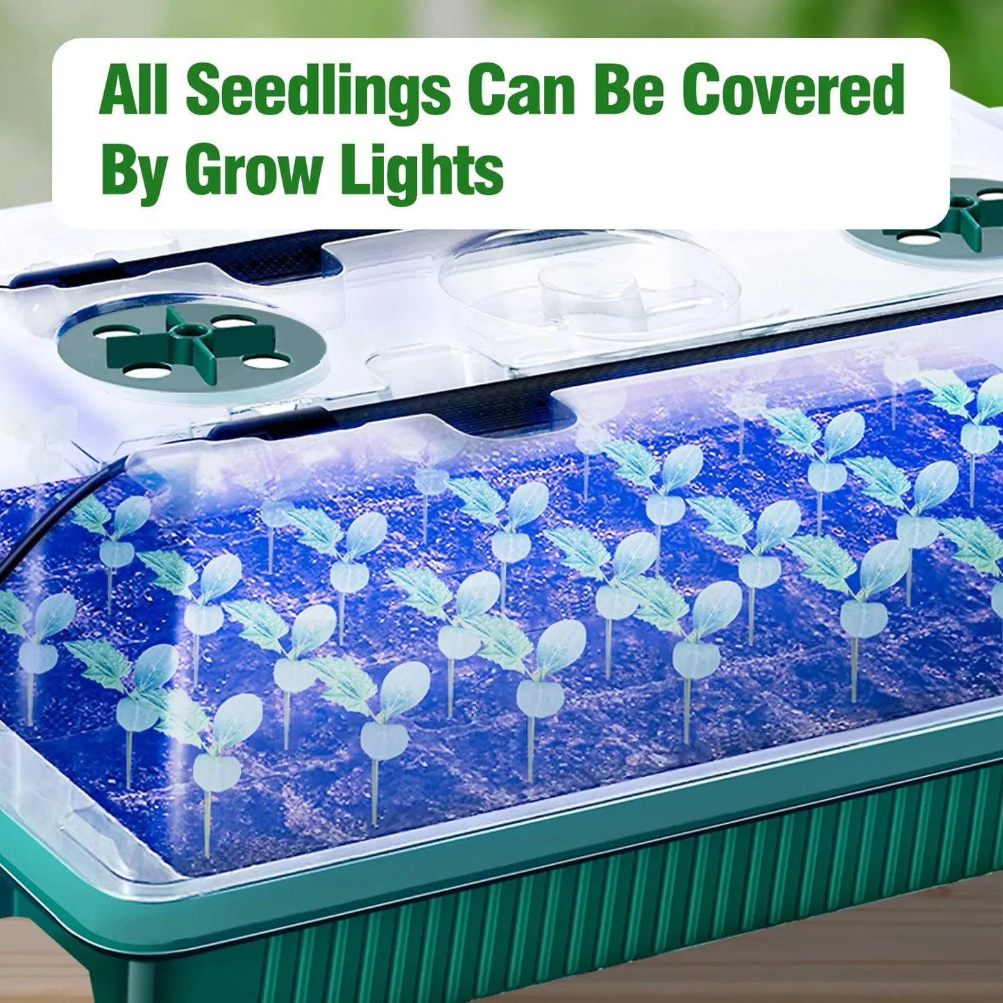 Indoor LED Mini Greenhouse Starter Kit - 80 Cell Planter