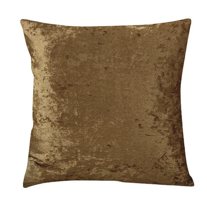 Plush Velvet Accent Pillow for Home and Living Room