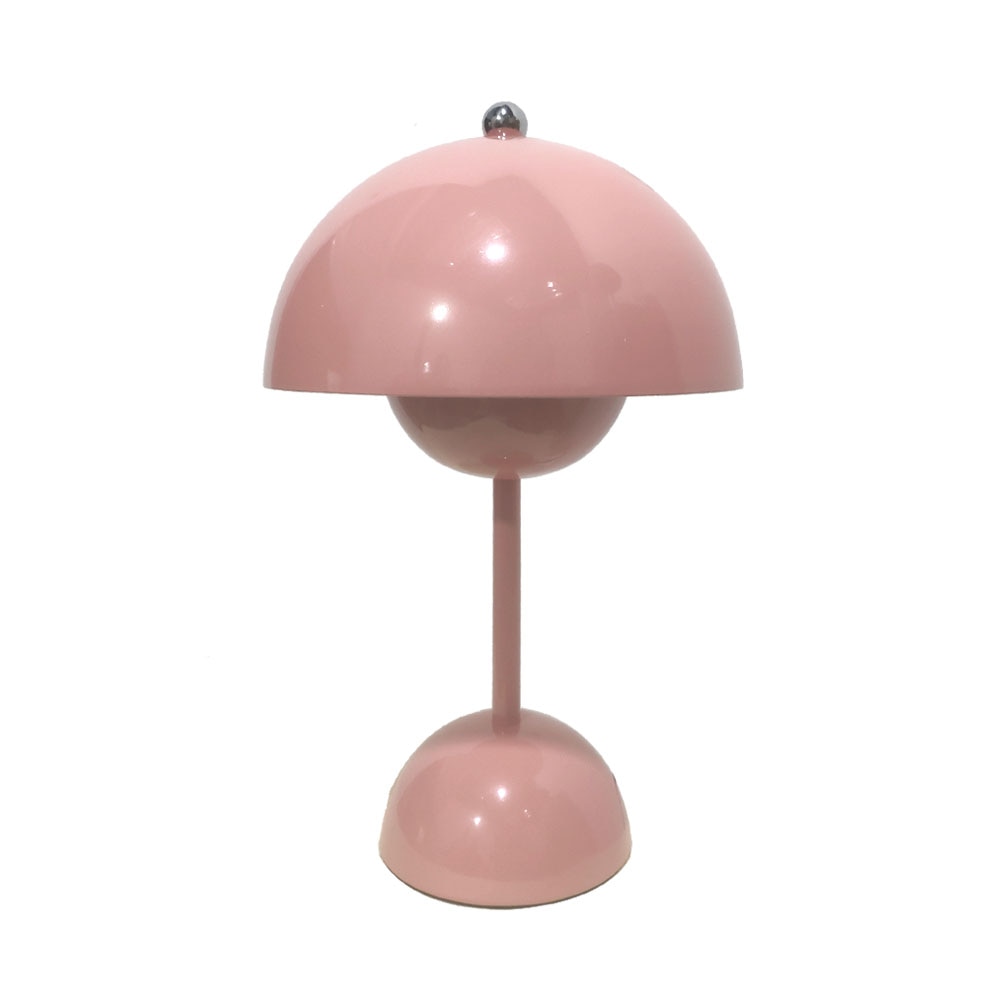 Stylish Metal Desk LED Lamp