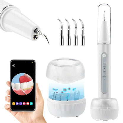 Professional Dental Cleaning Kit & Plaque Remover