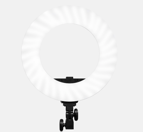 Slim LED Ring Light Kit with Adjustable Stand - Halri