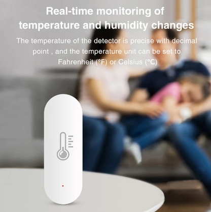 wireless-thermometers