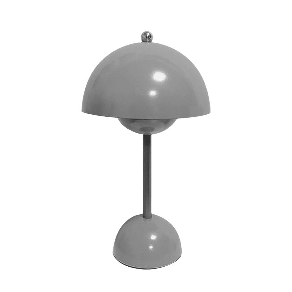Stylish Metal Desk LED Lamp