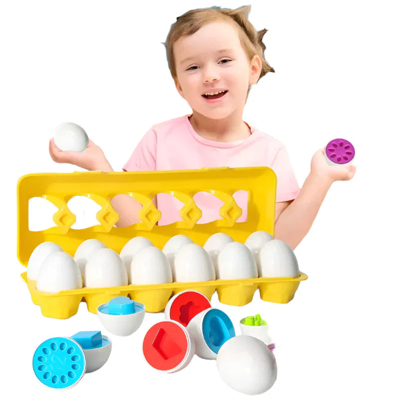 Fun Educational Egg Sorting Toy - Halri