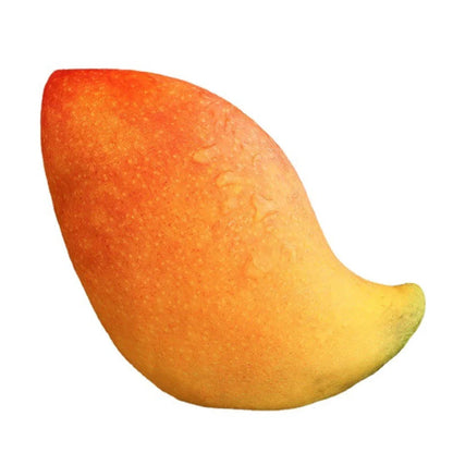 Plush Soft Fruit Cushion Pillow