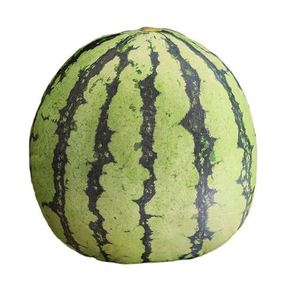 Plush Soft Fruit Cushion Pillow