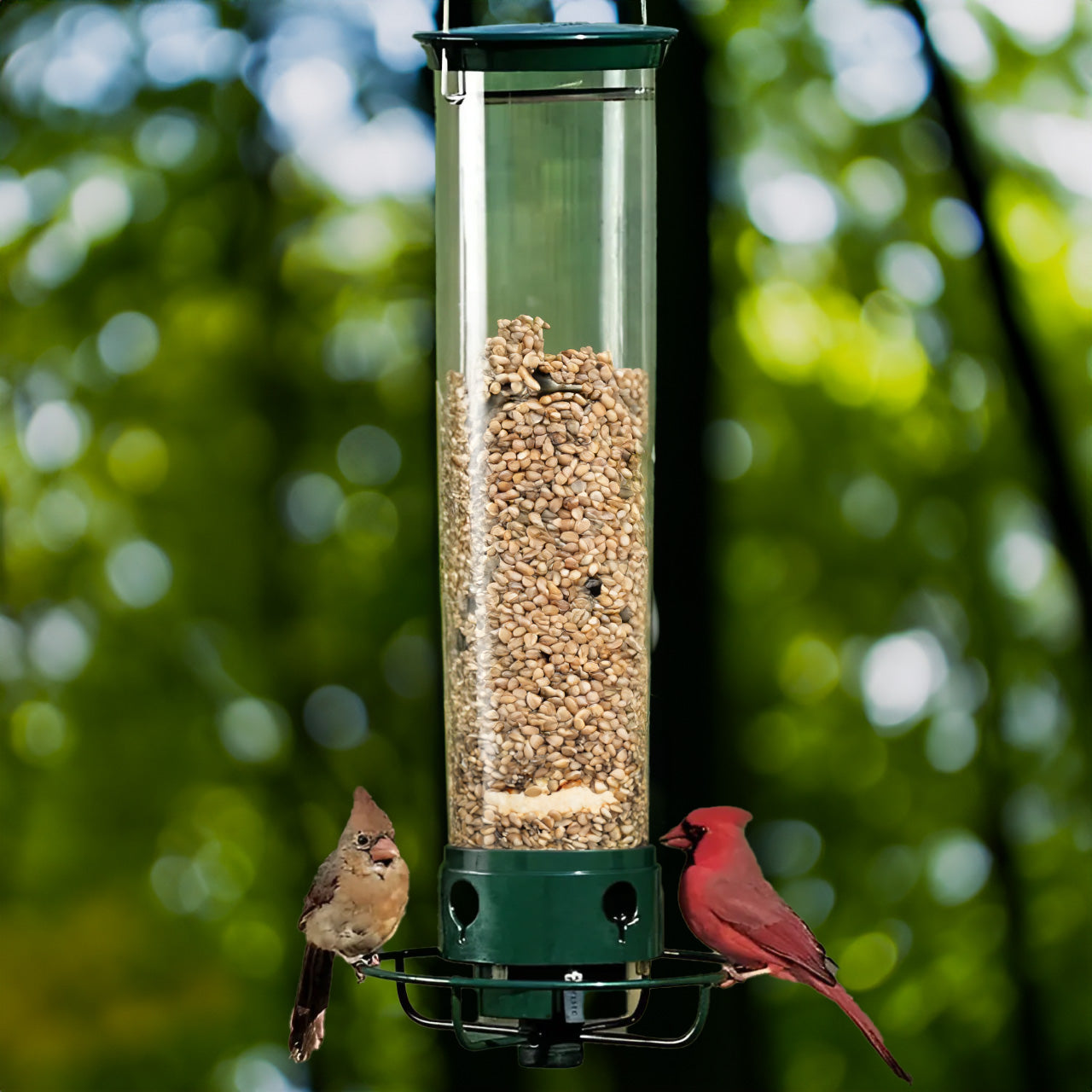 Wild Bird Feeder with Squirrel Proof Spin Tray - Halri
