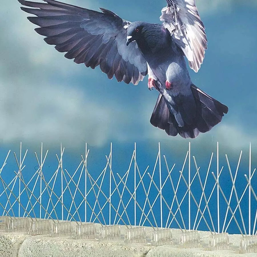 Easy Fit Bird and Squirrel Repellent Spikes