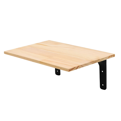 Cat Climbing Wall Shelf with Scratch Post