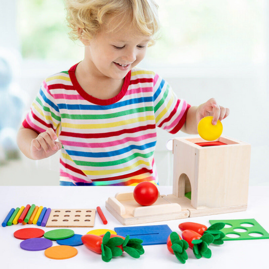 Wooden Educational Toy Set for Kids 5 in 1 - Halri