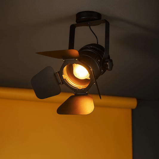 Rustic Metal Adjustable Ceiling Light with Barn Doors - Halri