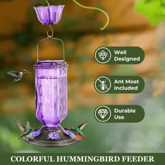 Large Clear Bird Feeder with Leak Proof Design