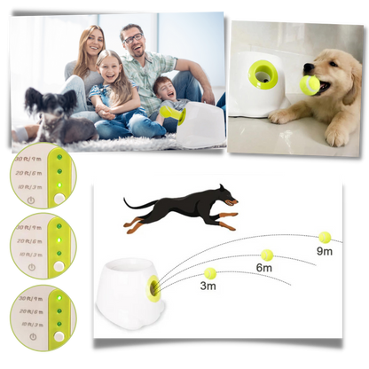 Fun Dog Ball Launcher Toy - Automatic Pet Thrower