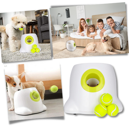 Fun Dog Ball Launcher Toy - Automatic Pet Thrower - Halri