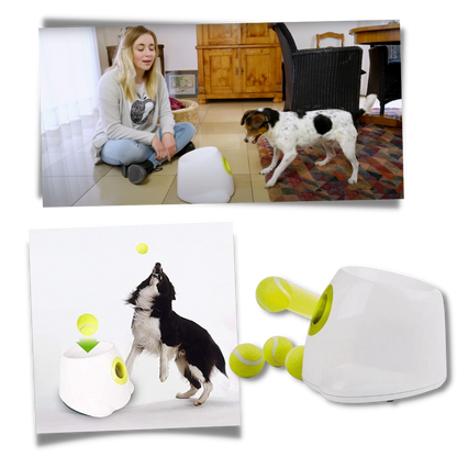Fun Dog Ball Launcher Toy - Automatic Pet Thrower