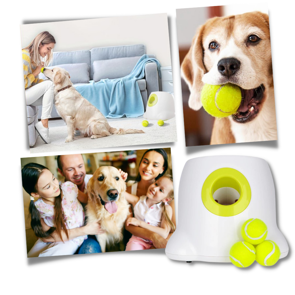 Fun Dog Ball Launcher Toy - Automatic Pet Thrower