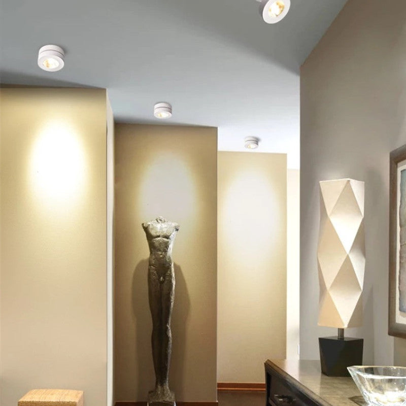 Modern Metal Ceiling Spotlight Fixture