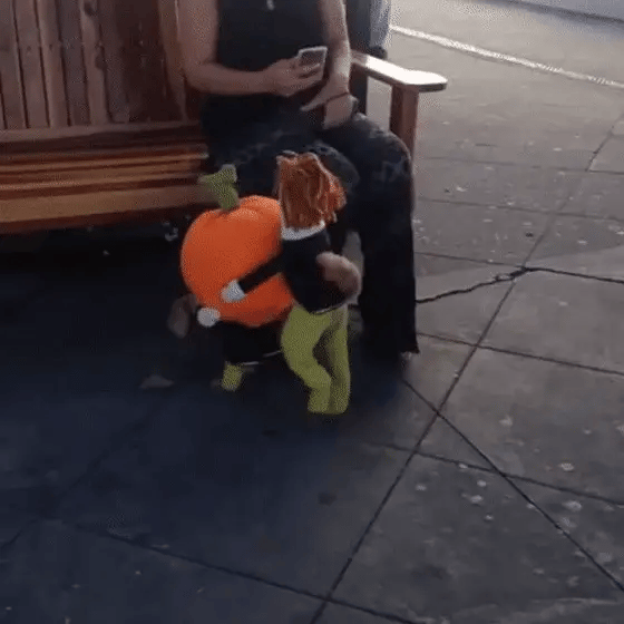 Cute Funny Pet Costume