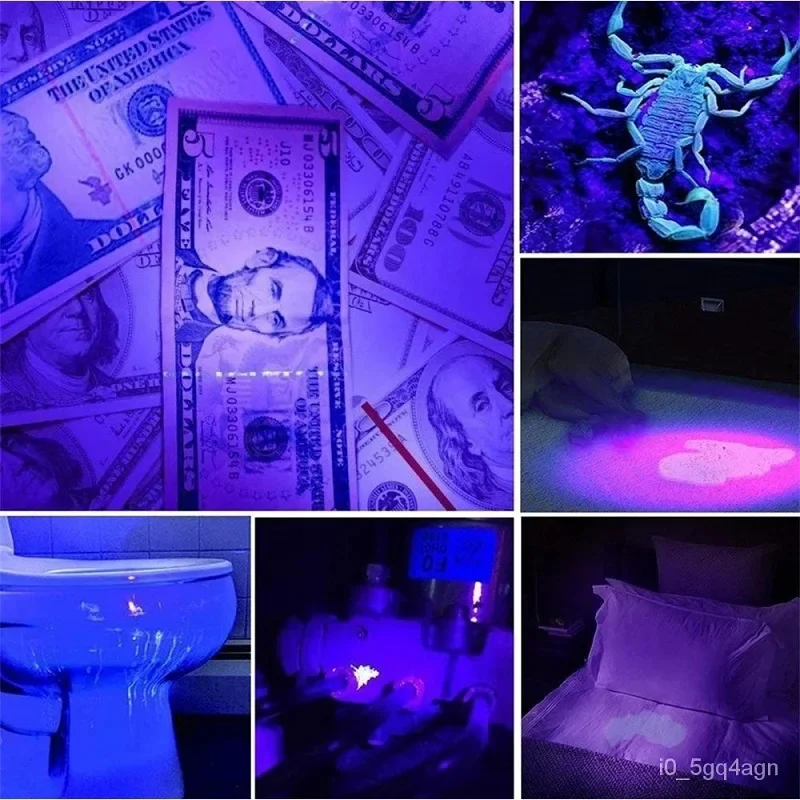 Powerful LED Flashlight for Bed Bug Detection