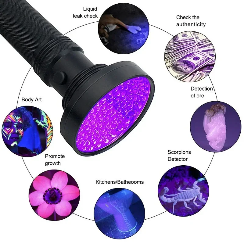Powerful LED Flashlight for Bed Bug Detection