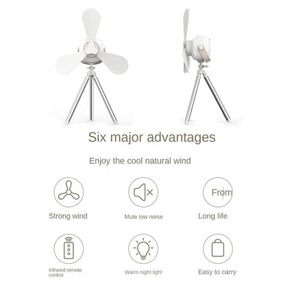 Remote Control Ceiling Fan