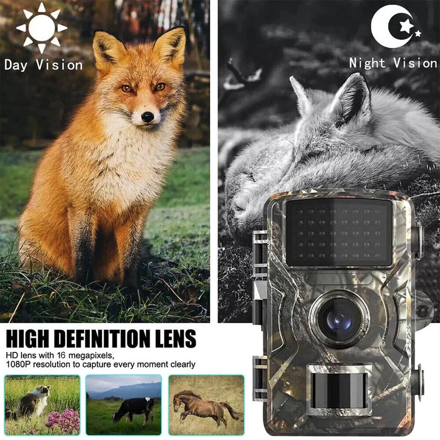 Motion Activated Outdoor Wildlife Camera with Night Vision