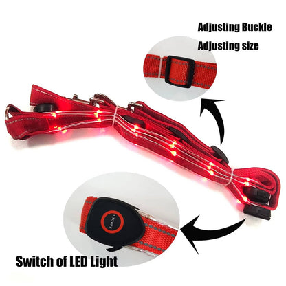 Reflective Horse Breastplate LED Collar