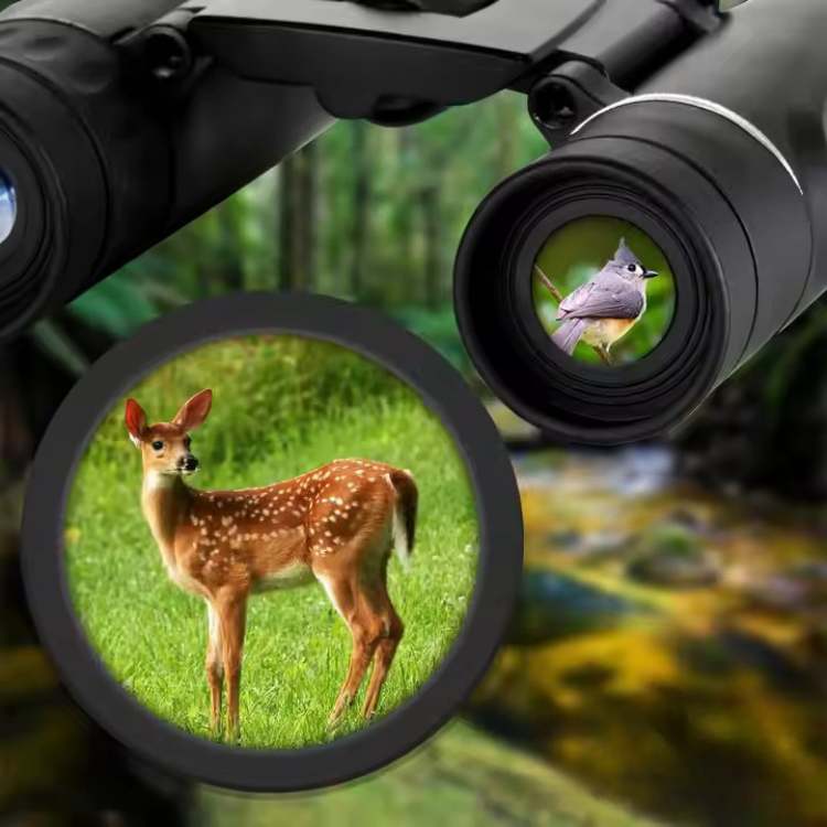 Compact 40x22 High Definition Binoculars