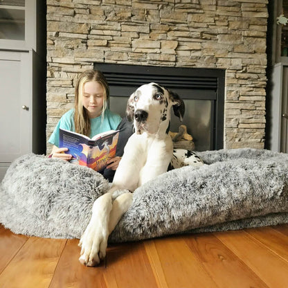 Extra Large Plush Orthopedic Dog Bed - Halri