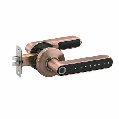 Easy Keyless Fingerprint Door Lock for Home Security