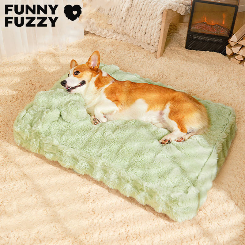 Soft Plush Dog Bed with Comfort Pillow - Halri