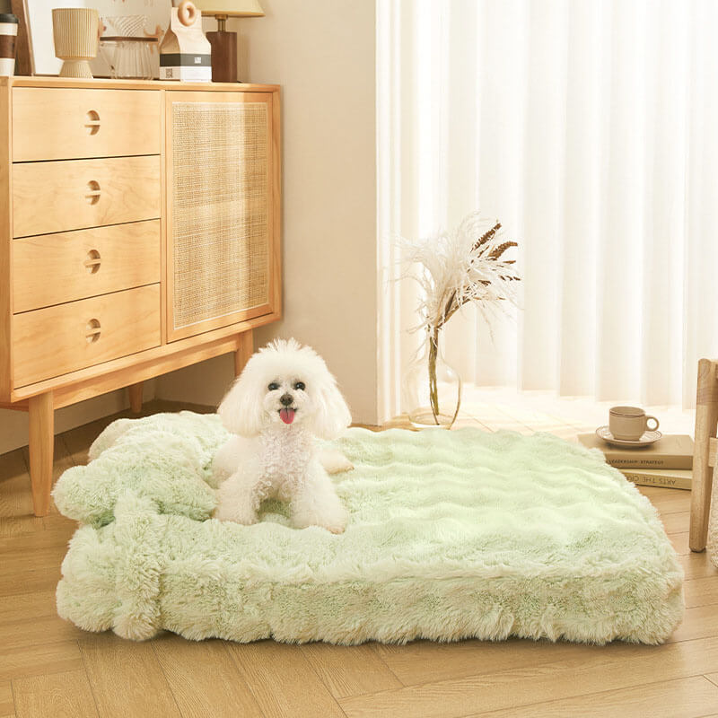 Soft Plush Dog Bed with Comfort Pillow