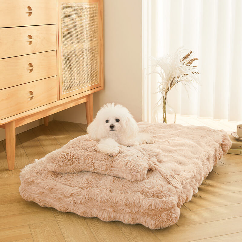 Soft Plush Dog Bed with Comfort Pillow