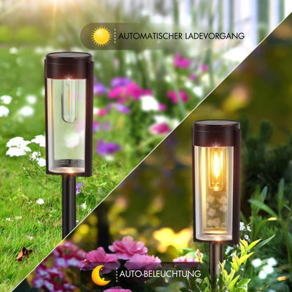 Outdoor Solar Powered Weatherproof Pathway Lights