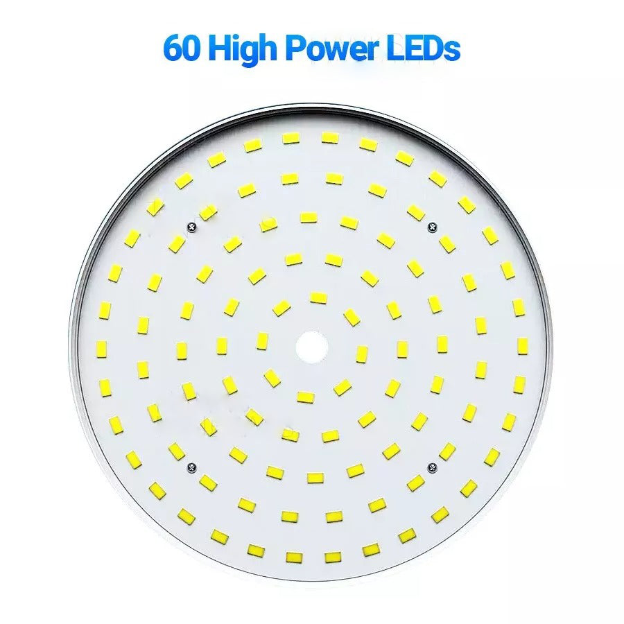 Portable Outdoor LED Lights
