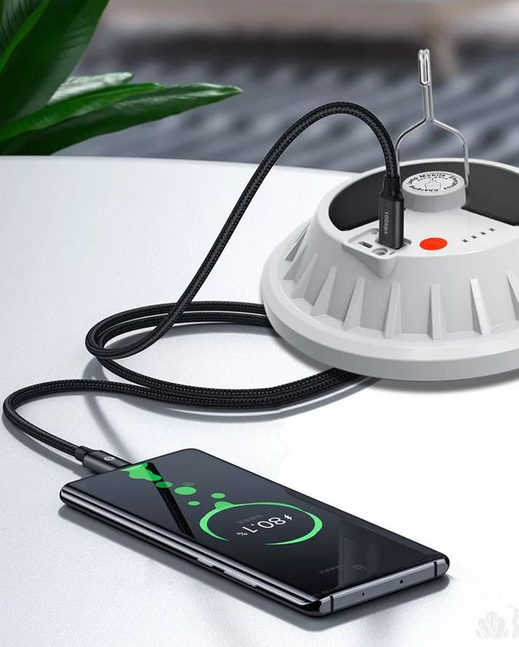 Portable Outdoor LED Lights