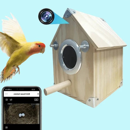 Outdoor Birdhouse Feeder Camera Kit with Live View - Halri