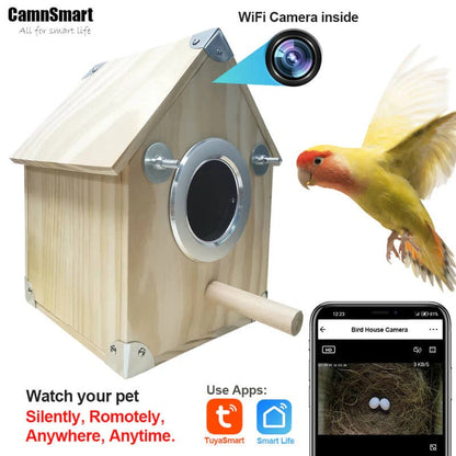 Outdoor Birdhouse Feeder Camera Kit with Live View