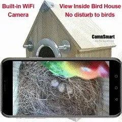 Outdoor Birdhouse Feeder Camera Kit with Live View
