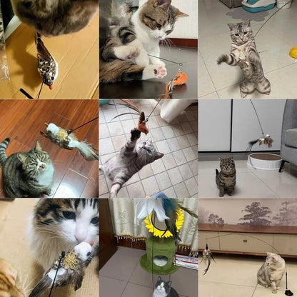 Interactive Feather Toy Kit for Cats