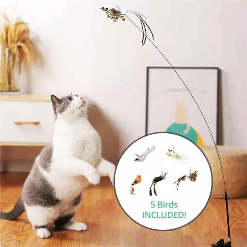 Interactive Feather Toy Kit for Cats