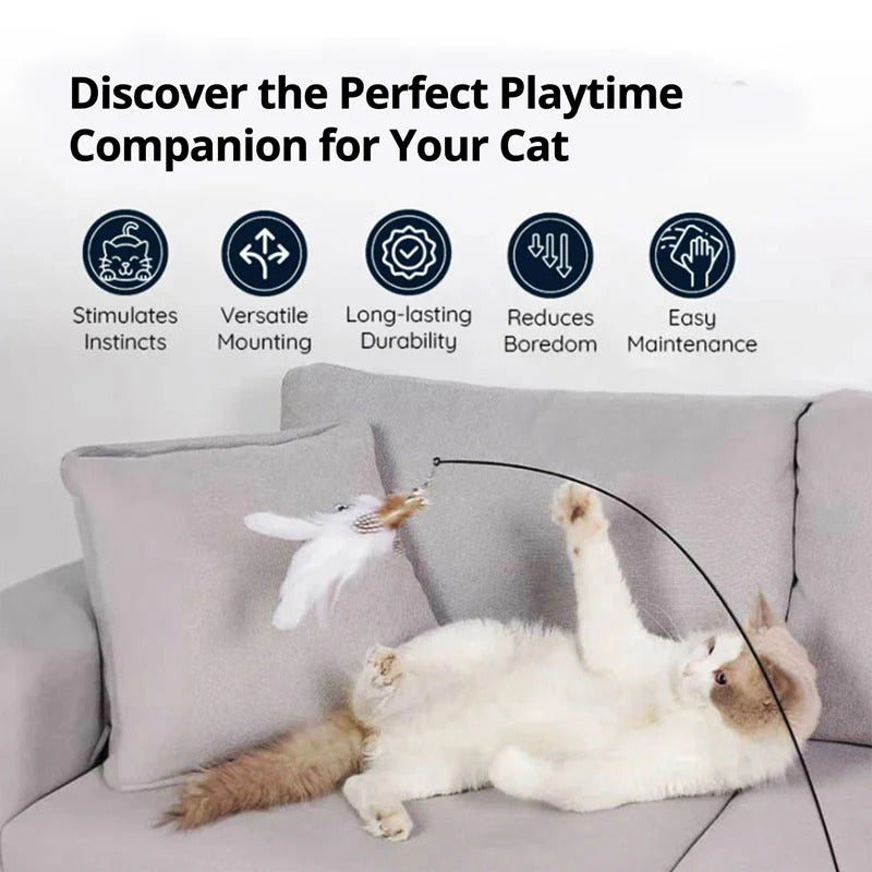 Interactive Feather Toy Kit for Cats