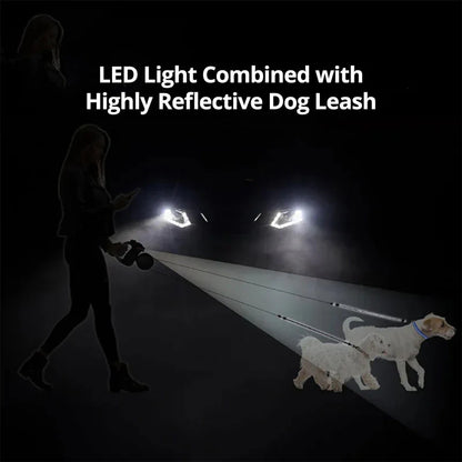 Practical Dog Leash with Light & Poop Bag