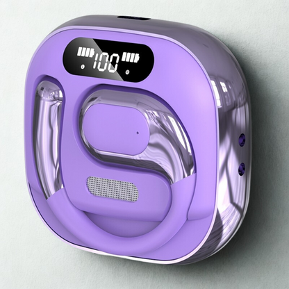 Instant Voice Translation Wireless Earbuds