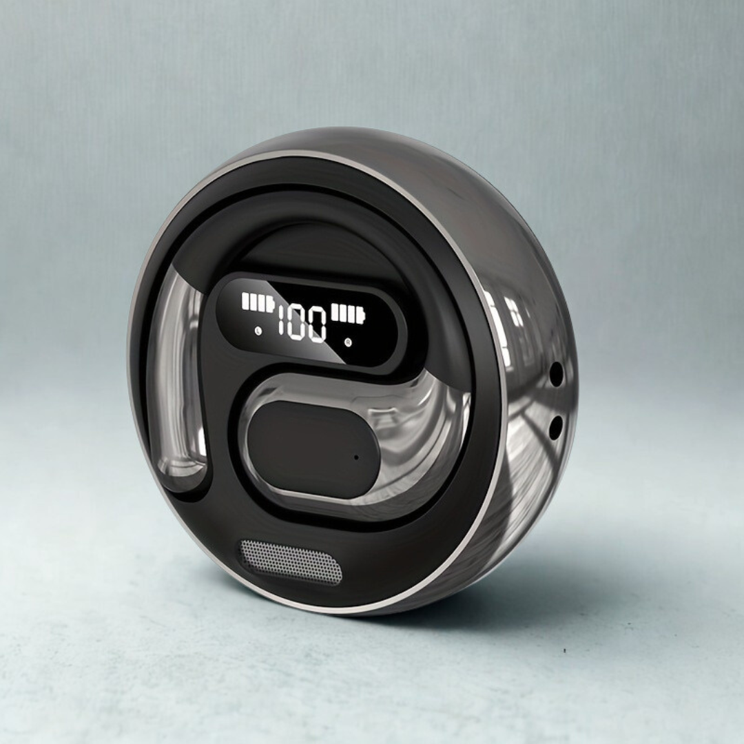 Instant Voice Translation Wireless Earbuds