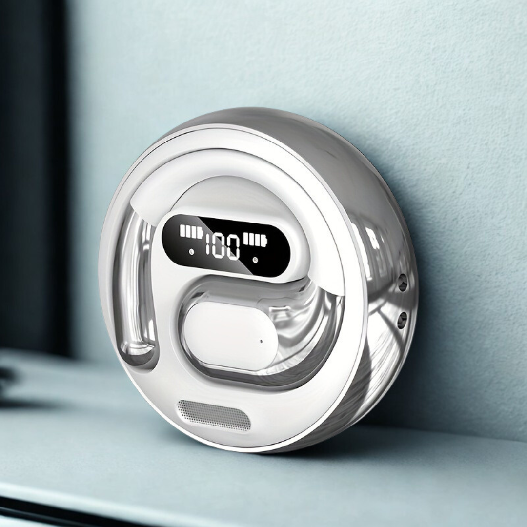 Instant Voice Translation Wireless Earbuds