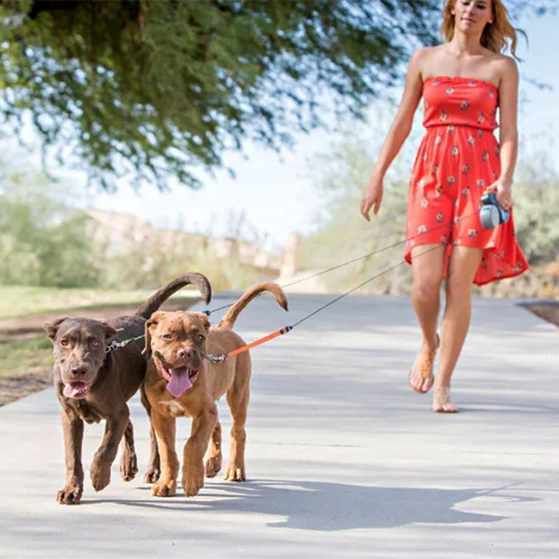 Practical Dog Leash with Light & Poop Bag